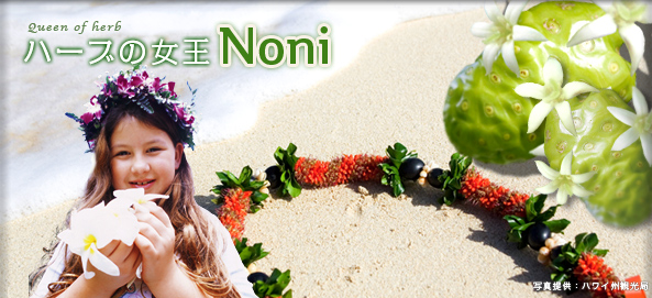 ハーブの女王NONI