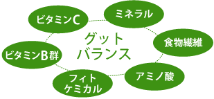 ノニ果実
